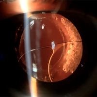 Enseñanzas de fotógrafos expertos