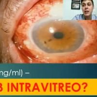 Complicaciones tardías de las ampollas filtrantes: Blebitis