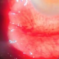 El que busca encuentra