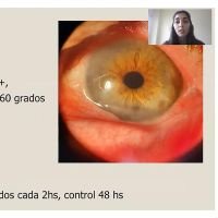 Jardinería en tiempos de cuarentena