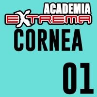 Tipos de Trasplantes. Indicaciones.